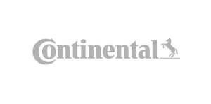 Continental Automotive Group